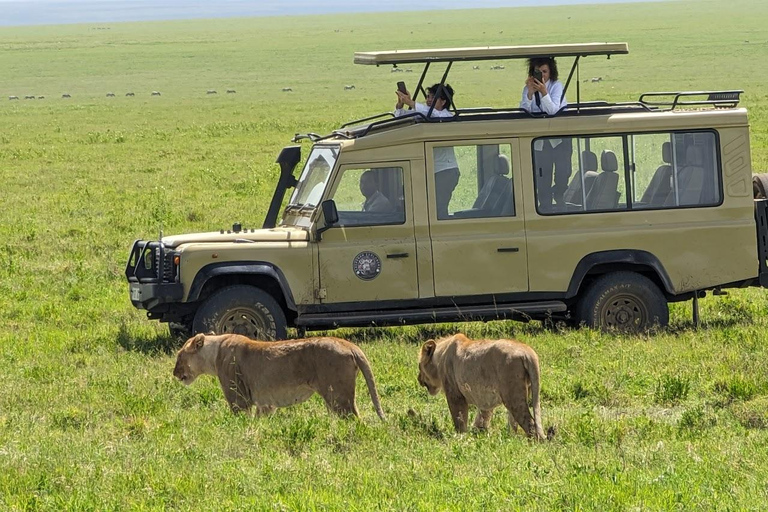 Arusha: safari di 4 giorni a Tarangire, Serengeti e Ngorongoro