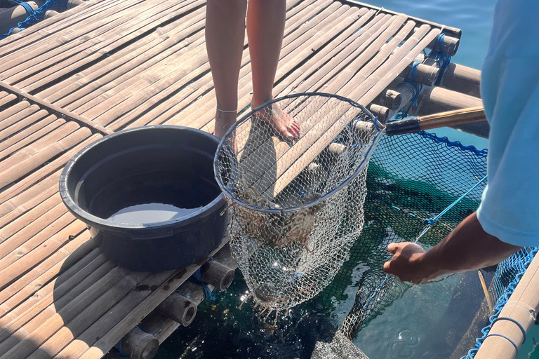 Lombok: pink beach snorkling trip with hotel pick up 2 Lombok: snorkling trip pink beach and explore pink beach