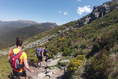 Madrid: Trail Running Day Trip