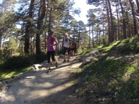 Madrid, Trail Running Day Trip - Housity