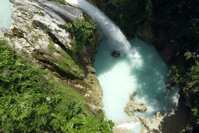 Cebú:Excursión en grupo con tiburón ballena, cascada y carrera de sardinas+Comida
