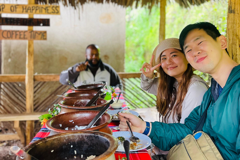 Arusha |Moshi: tour del villaggio Maasai, cascate e caffèArusha: villaggio Masai, cascata Materuni e tour del caffè