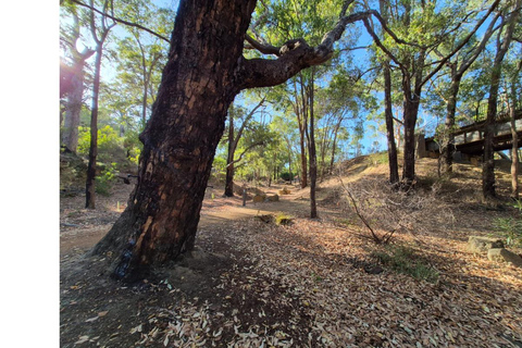 Perth Hills, Wildlife Park & Historic Pub Tour