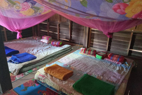 Chiang Mai: 2-Day Jungle Trek with Elephant Farm & Raft Ride Hotel Pickup and Drop-off (within Pickup Area)