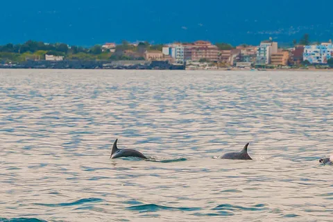 Giardini Naxos Taormina: Tur de apus de soare cu observarea delfinilor