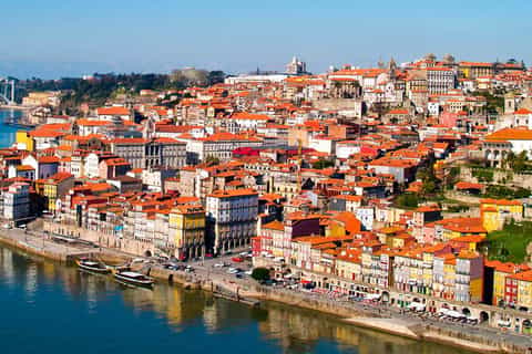 Porto heldagstur