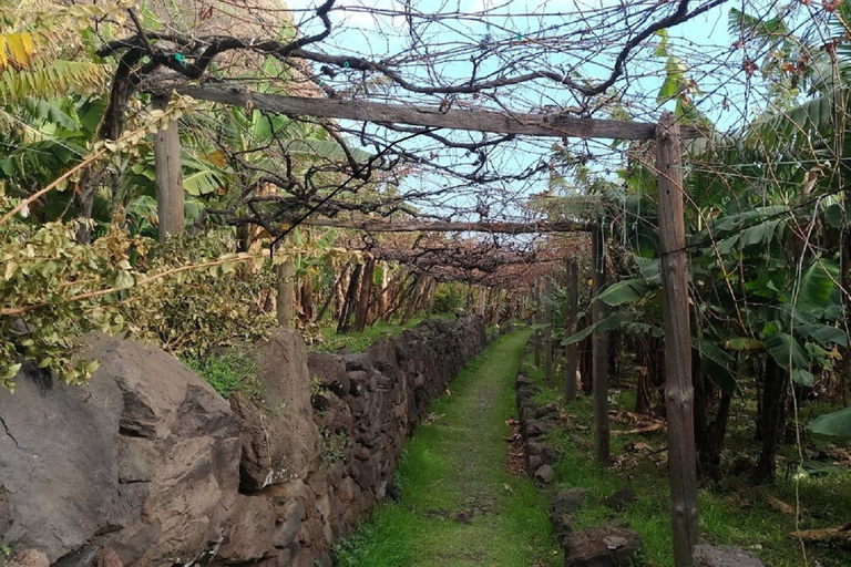 Funchal: excursão de meio dia às aldeias escondidas do sul da Madeira