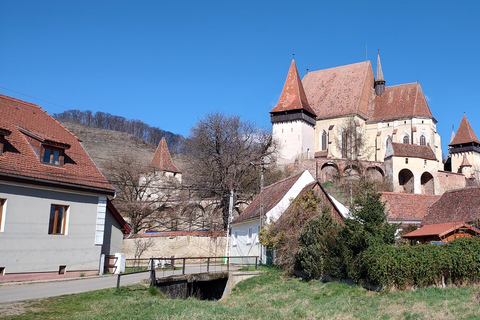 Romania: tour di 7 giorni con alloggio e pastiRomania: tour di 7 giorni con alloggio e pasti inclusi