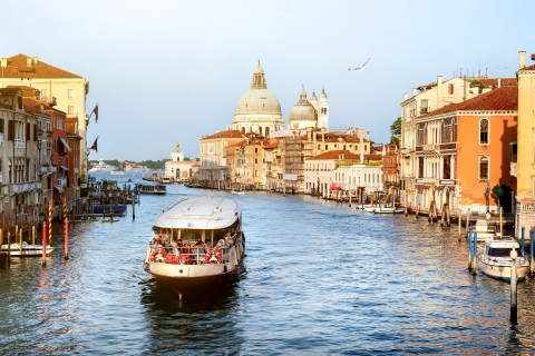 Venise : Waterbus et carte de bus continentaleBillet ordinaire de 75 minutes