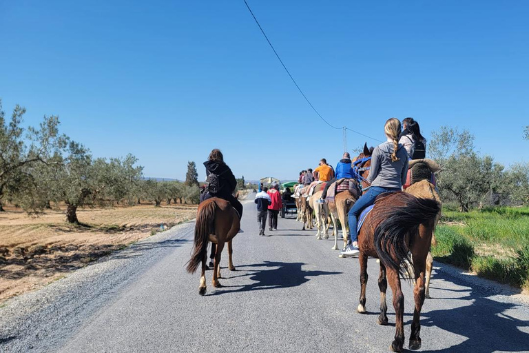 Hammamet: Camel Ride, Lunch, and Quad Biking Tour