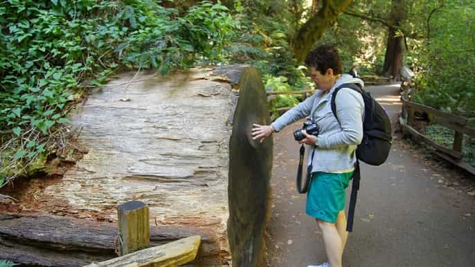 san francisco sequoie e acquario della california di 5 ore