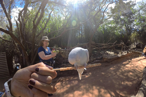 Da Puebla: Africam Safari Tour privato tutto incluso