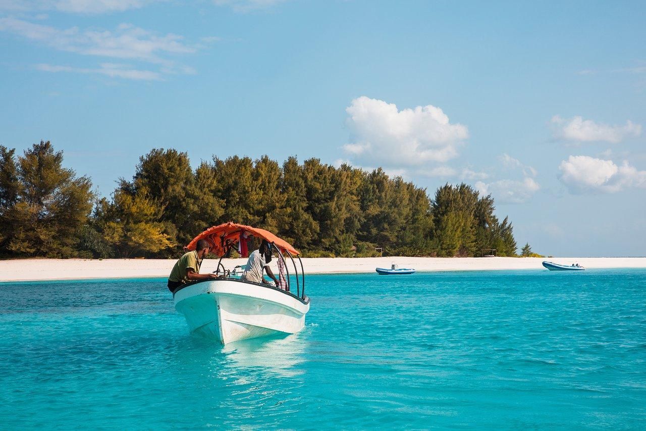Mnemba-Insel: Schwimmen mit Delfinen & Schnorcheln per Motorboot