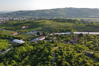 Dealu Mare Wineries, tour di degustazione di vini sulla vecchia strada del vino - Housity