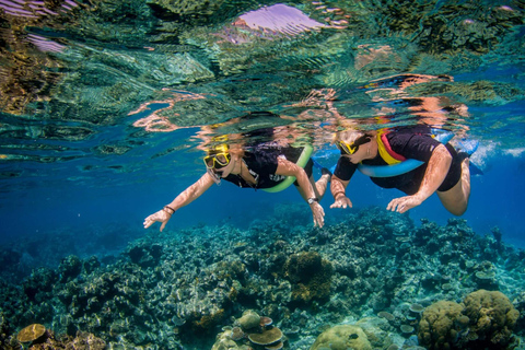 Cairns: Great Barrier Reef Snorkeling Tour with Lunch