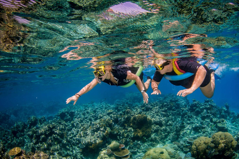 Cairns: Great Barrier Reef Snorkeling Tour with Lunch