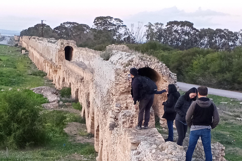 From Tunis: Bardo Museum, Oudhna & Aqueduct Private Tour