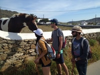 Mykonos Senderismo Aventura - Hizvo