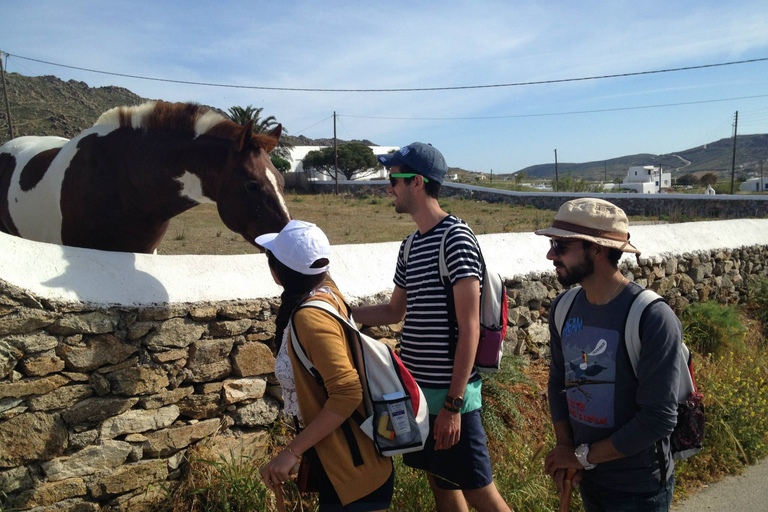 Mykonos: Wanderabenteuer