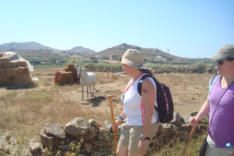 Mykonos: Wanderabenteuer