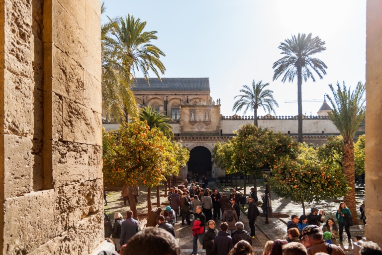 Cordoue : coupe-file et visite de la mosquée-cathédraleVisite historique de la mosquée-cathédrale de Cordoue en espagnol