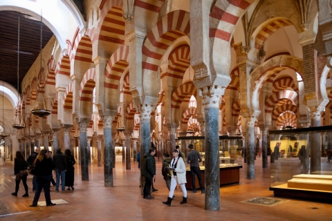 Cordoue : coupe-file et visite de la mosquée-cathédraleVisite historique de la mosquée-cathédrale de Cordoue en espagnol