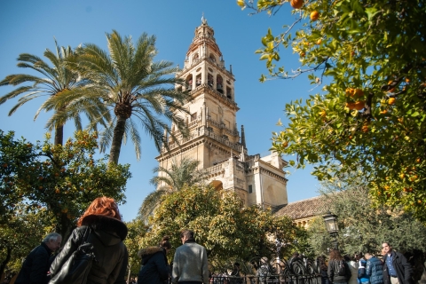 Cordoba: Jewish Quarter and Mosque-Cathedral Guided Tour Tour in Spanish