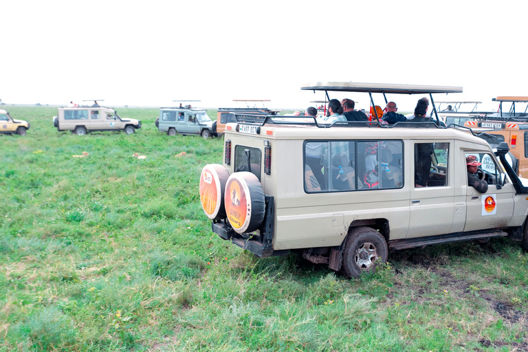 阿鲁沙：曼雅拉湖国家公园一日游