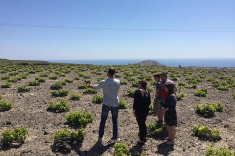 Prywatna wizyta grupowa w Akrotiri i 3 winiarniach z Tastings