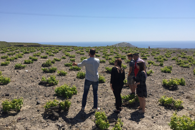 Private Group Visit to Akrotiri & 3 Wineries with Tastings