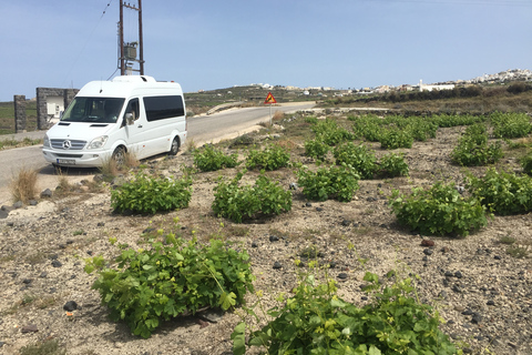 Private Group Visit to Akrotiri & 3 Wineries with Tastings