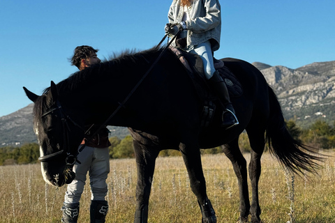 Dubrovnik: Horse Riding with local guide - beginner friendly