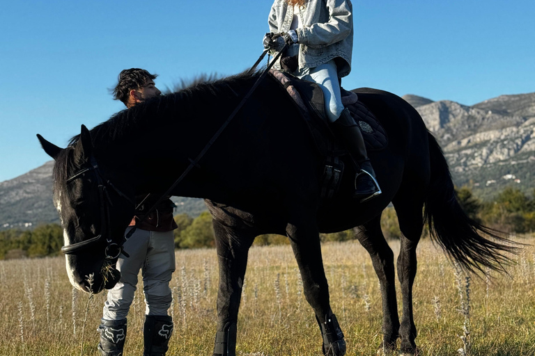 Dubrovnik: Horse Riding with local guide - beginner friendly