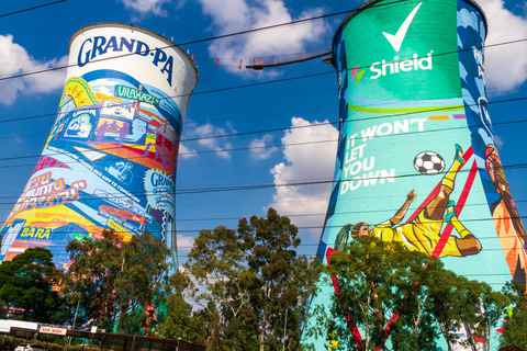 Johannesburg: Soweto Towers Thrill Experience With Views