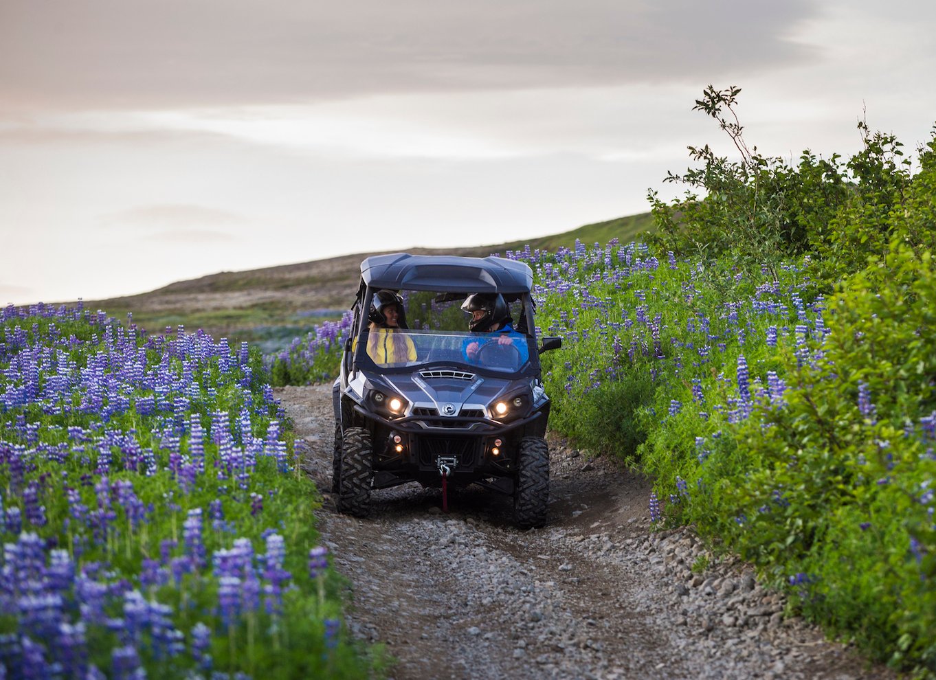 Reykjavik: Buggy-safari-tur med hoteltransport