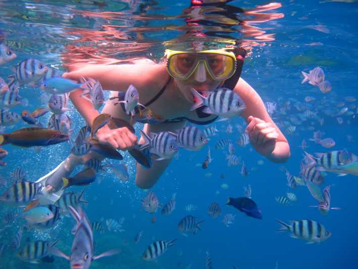 From Gili Trawangan: Gili Islands Hopping Snorkeling Trip