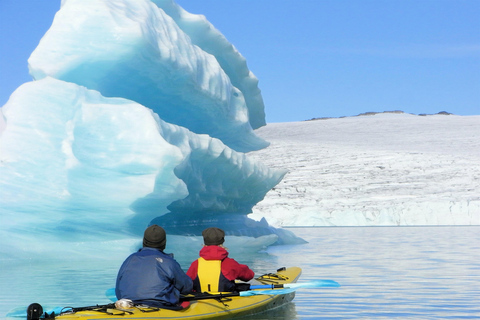 Stygge: Kayaking and Glacier Hike