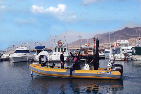 Gran Canaria Scuba Diving : Forfait 1 jour 2 plongées