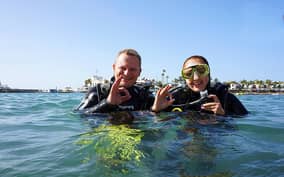  - Canarie.it