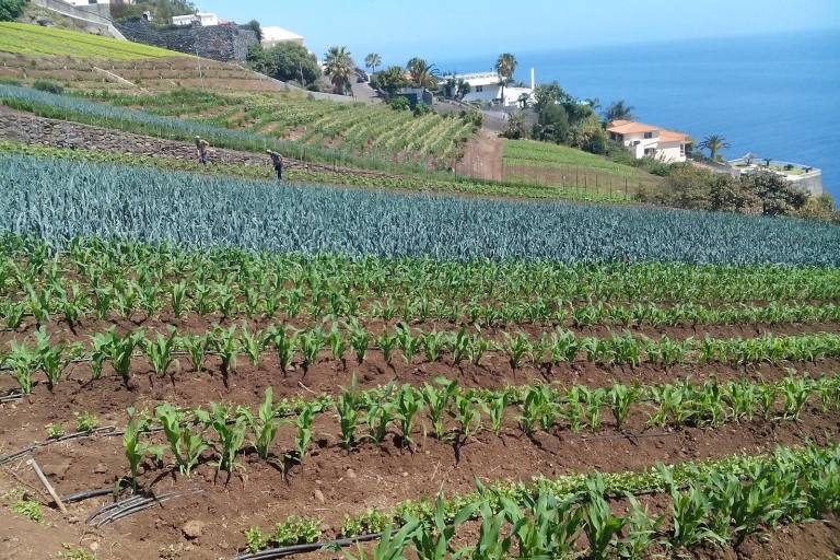 Funchal Agriculture Green Tour