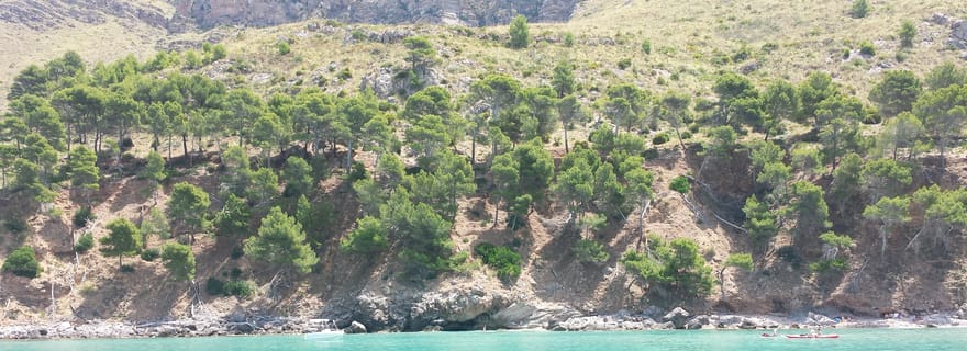 Excursion en bateau d'une demi-journée à Can Picafort