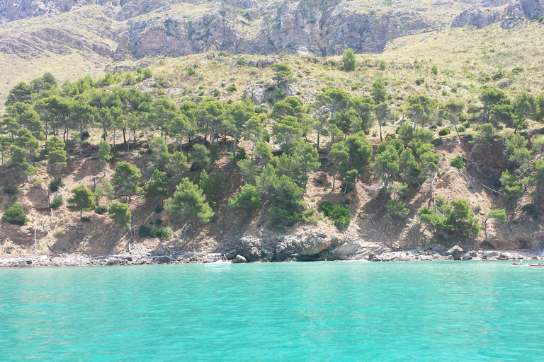 Can Picafort halvdagsutflykt med båtMallorca: Halvdagsutflykt till naturreservat med båt &amp; lunch