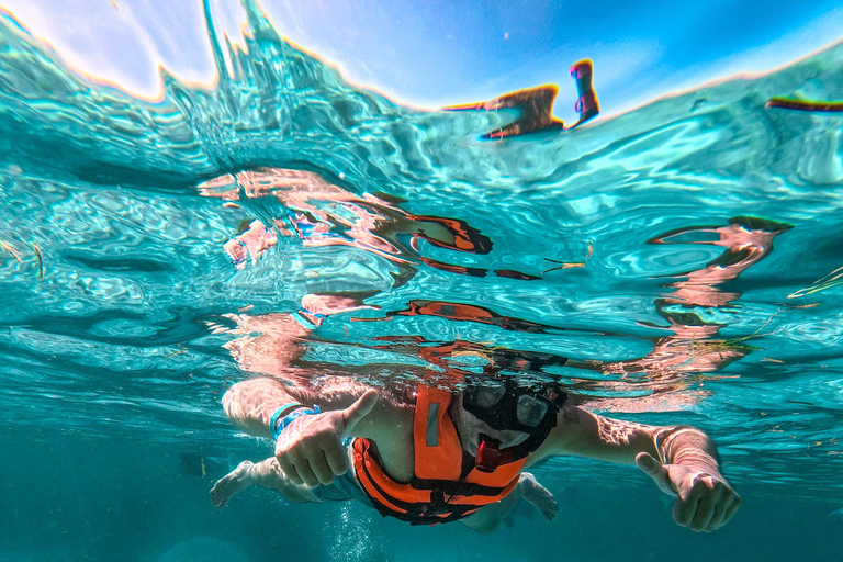 Akumal: Tsuuk Park Entry with Turtles Snorkeling Tour