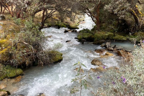 Huaraz: Full Day Lagoon 69 + Llanganuco Lagoon