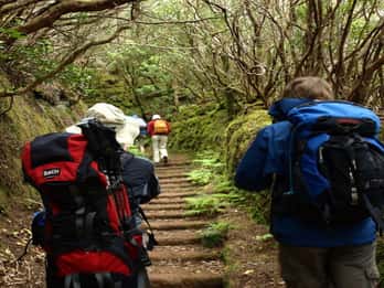 Teneriffa: Tagestour mit Wanderung und Kultur Teneriffa: Tagestour mit Wanderung und Kultur