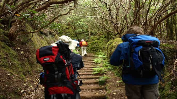 teneriffa tagestour mit wanderung und kultur