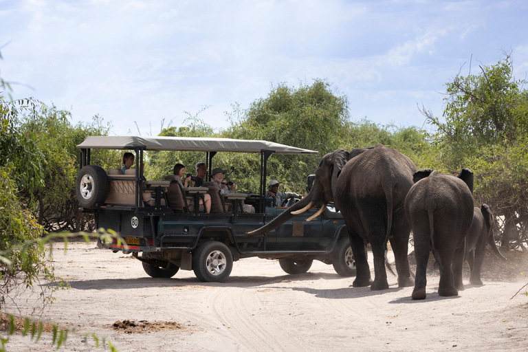 Desde Victoria Falls: Chobe y Namibian Island con almuerzoFrom Victoria Falls: Chobe &amp; Impalila Island Tour with Lunch
