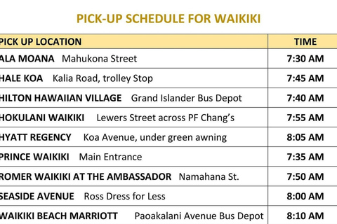 Oahu: Haleiwa &amp; Dole Plantation Deluxe Tour