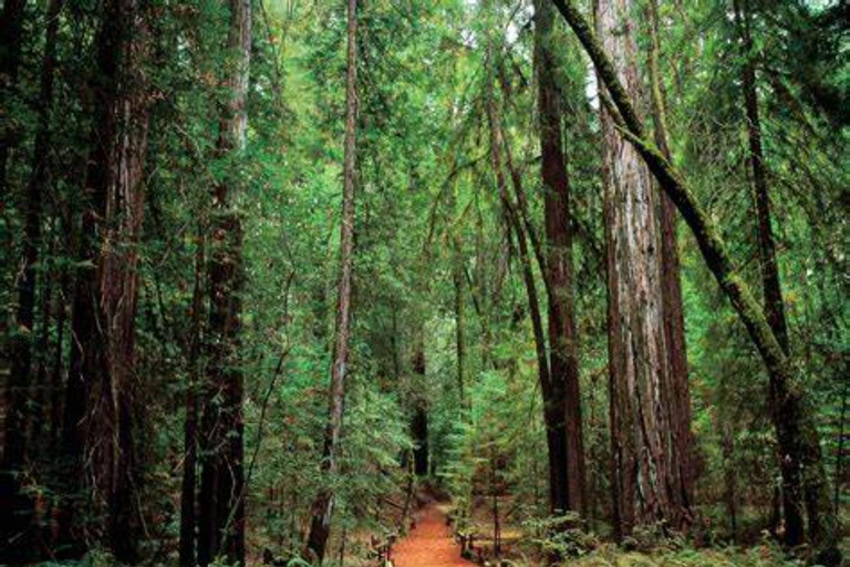 San Francisco: 5-Day California Coast, Vineyards & Wine Tour Double Occupancy Room