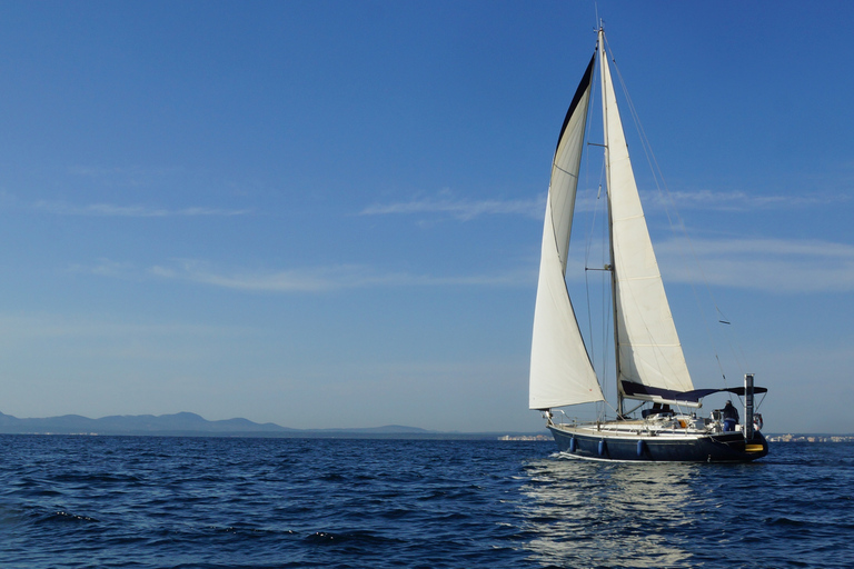 Alcudia: escursione in barca a vela con vino e tapas